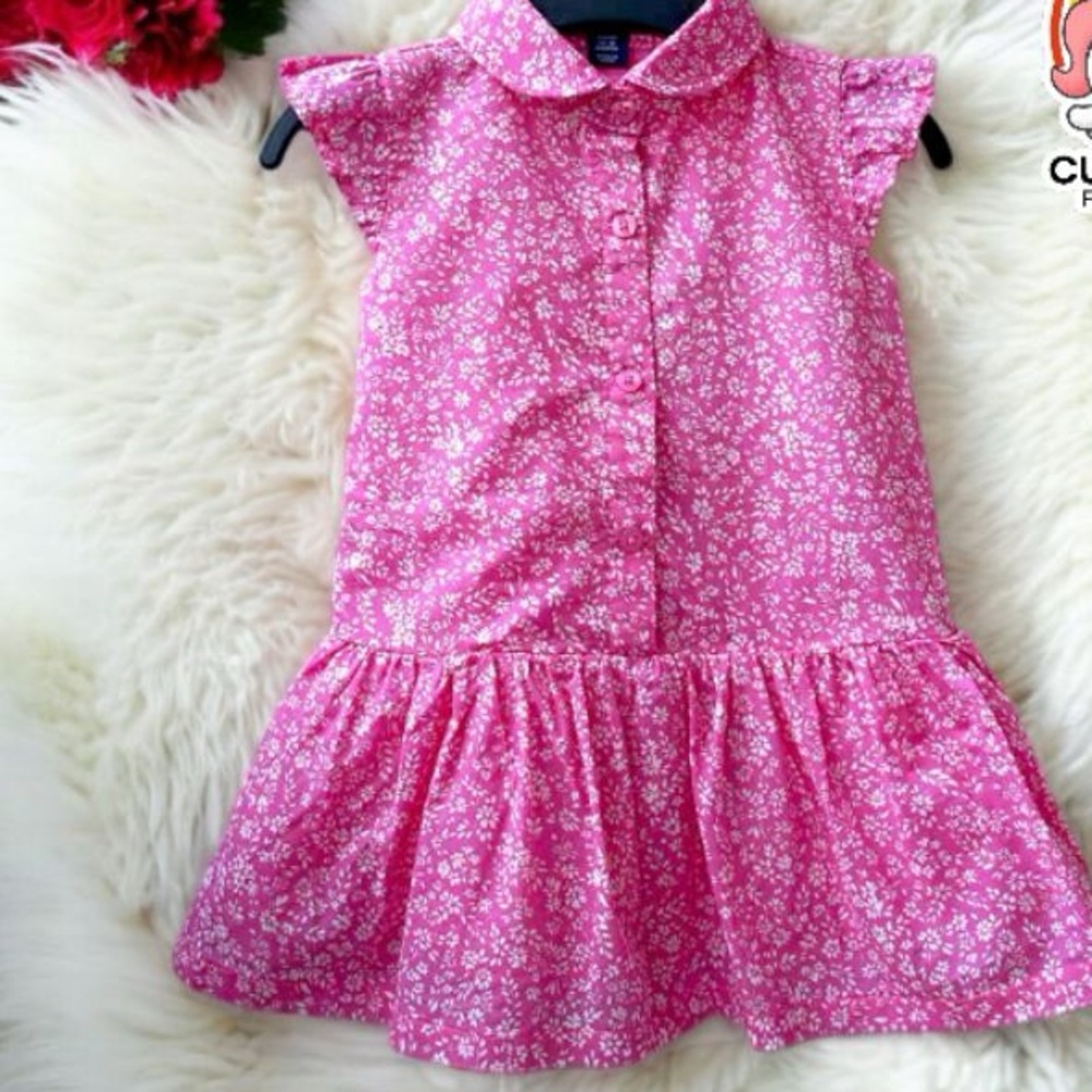 Baby Gap Ditsy Floral Ruffles Cap Sleeve Half-placket Dress Preowned 18-24 M